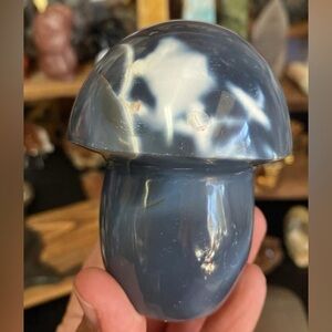 Large Orca Jasper Mushroom